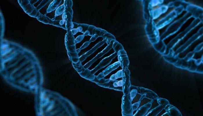 The DNA data comes from those among 23andMe's 5 million customers who said they wanted to participate in scientific research. (Source: Raycom Media)